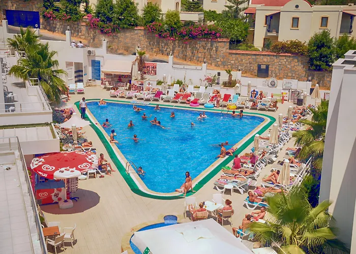 Szálloda Club Shark