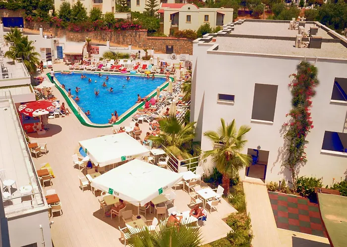 Club Shark 4*