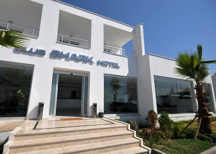 Szálloda Club Shark 4*