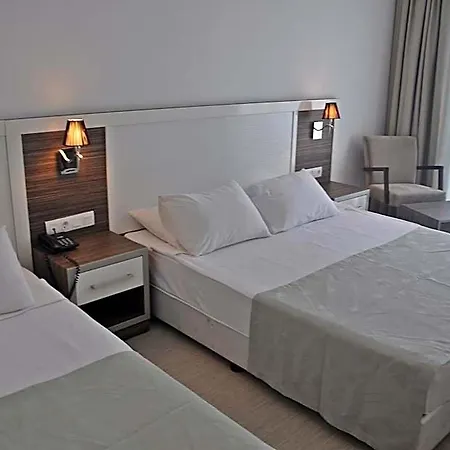 Hotel Club Shark
