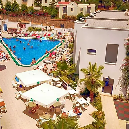 Club Shark Hotel