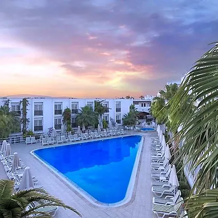 Hotel Club Shark