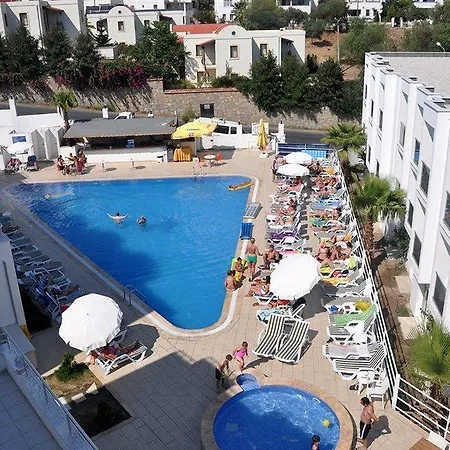 Hotell Club Shark 4*