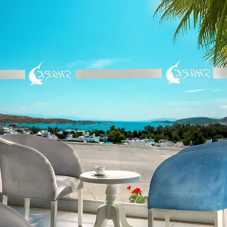 Club Shark גומבט