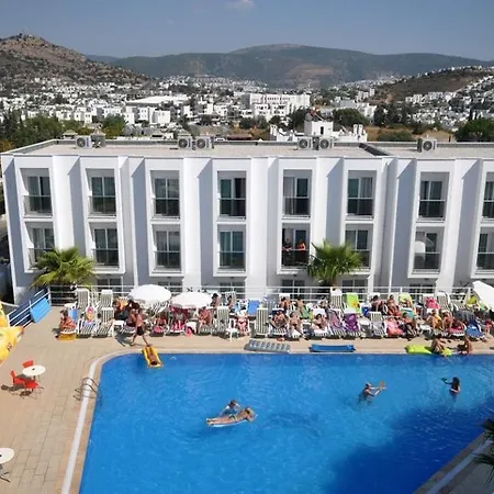 Club Shark Hotell