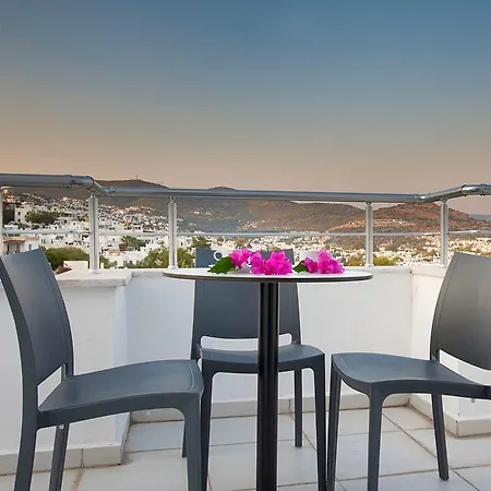 Club Shark 4* גומבט