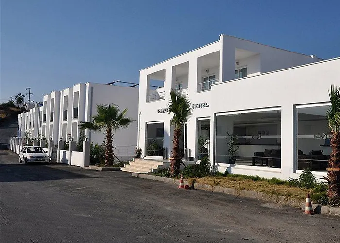 Отель Club Shark