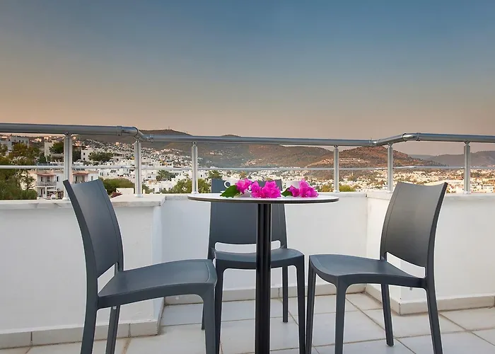 Club Shark 4* Gumbet